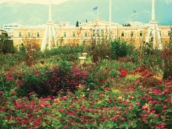 Φυτεμένες ταράτσες: εξοχή πάνω από την πόλη