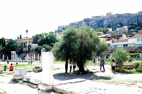 Η πόλη είναι γεμάτη από δεκάδες ωραία πράγματα 