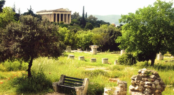 Ελιές, μέθυσοι πλάτανοι και δάφνες