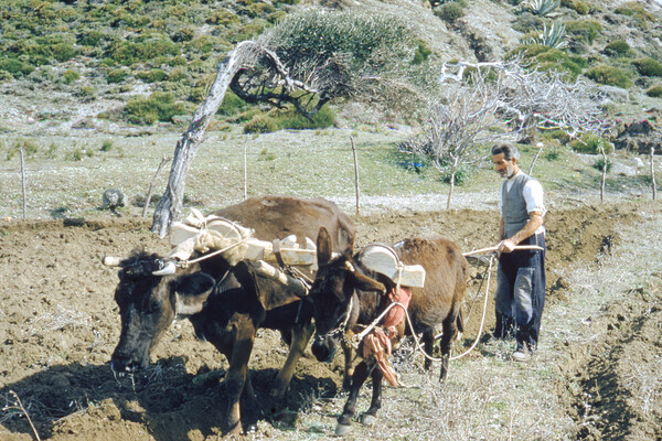 Σπάνιες φωτογραφίες από τη βόρεια Ελλάδα του '50