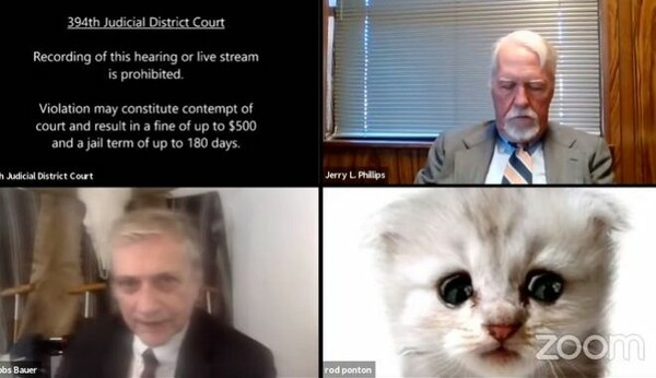 Ένα λάθος δικηγόρου σε τηλεδιάσκεψη τον «μεταμόρφωσε» σε ζώο: «Δεν είμαι γάτα!» έλεγε στο δικαστή