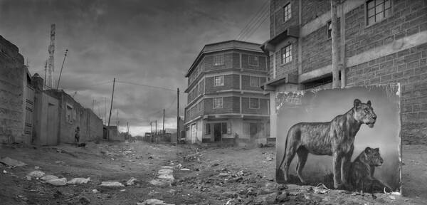"Κληρονομώντας τη σκόνη", από τον φωτογράφο Nick Brandt
