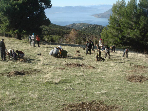 Τελαίθριον. Μία οικο-ουτοπία