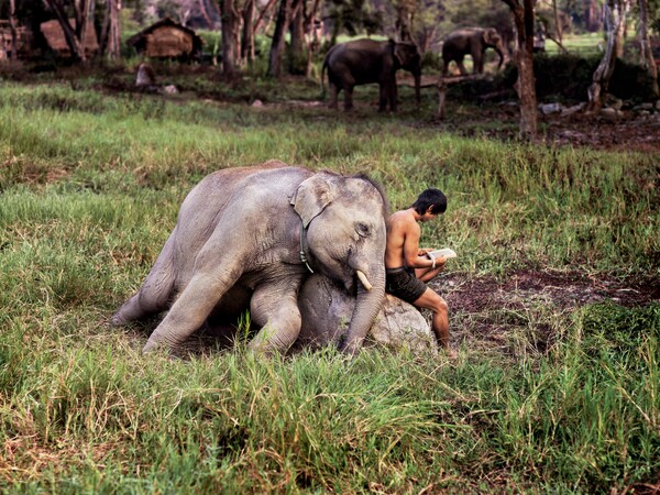 10 φωτογραφίες του Steve McCurry σαν μυθιστόρημα