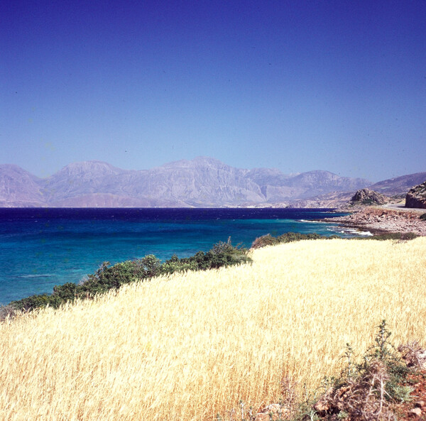 Τα δώρα της ζωής ― ερωτικό, καλοκαιρινό φωτορομάντσο