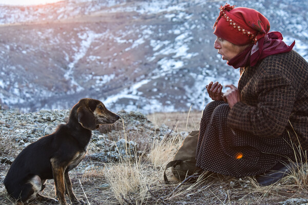 A taste of Honeyland