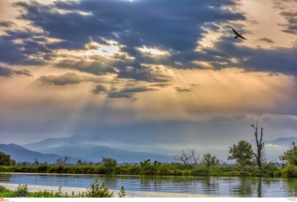 Επιστολή WWF για τις περιοχές Natura