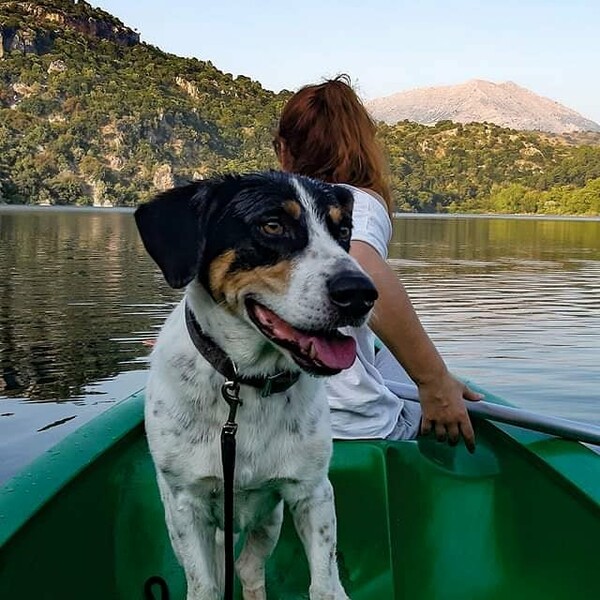 10 νέες φωτογραφίες απ' τα τέλεια ζώα των αναγνωστών μας #564