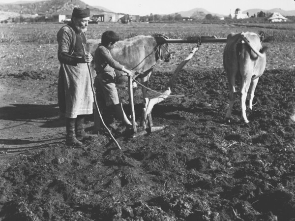 H ζωή στην Κρήτη το 1941