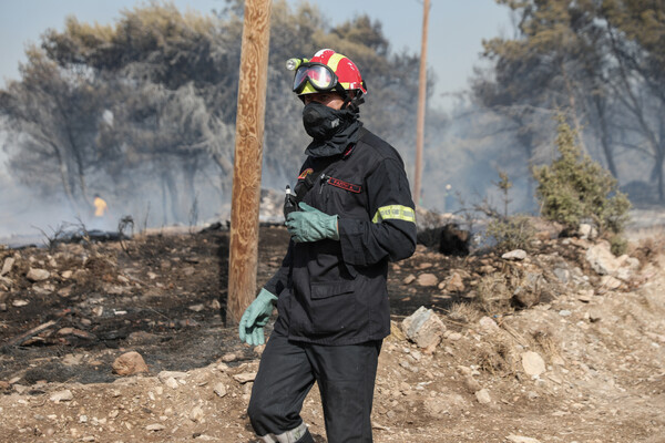 Φωτιά σε δάσος στη Χαλκιδική: Συνεχίζεται για δεύτερη μέρα