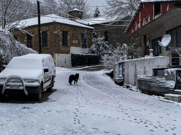 Συνεχίζεται η χιονόπτωση - Κλειστοί δρόμοι και διακοπές ρεύματος