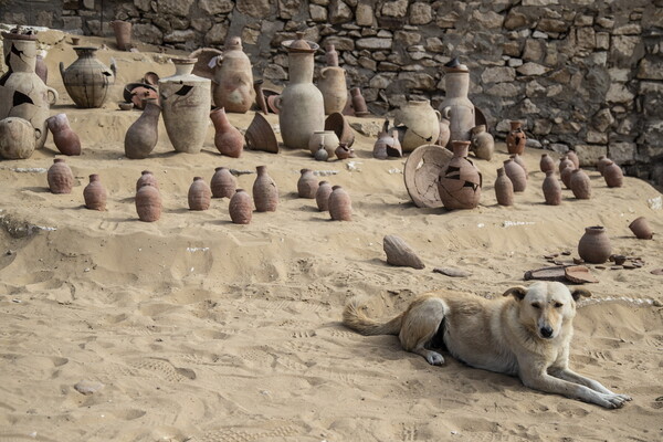 Πενήντα αρχαίες σαρκοφάγοι ανακαλύφθηκαν στην νεκρόπολη της Σακκάρα (ΕΙΚΟΝΕΣ)