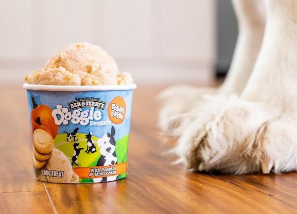 Τα Ben & Jerry’s κυκλοφόρησαν «παγωτά» για σκύλους