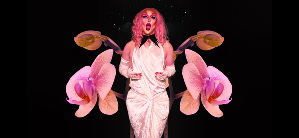 Drauma: ένα καλλιτεχνικό πρότζεκτ που συνδυάζει την τέχνη του drag με την κλασική μουσική