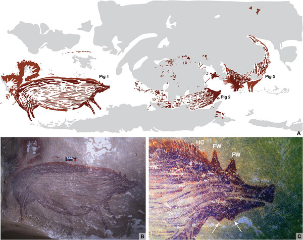 Ινδονησία: Ανακαλύφθηκε η αρχαιότερη σπηλαιογραφία με ζώα στον κόσμο, ηλικίας 45.500 ετών