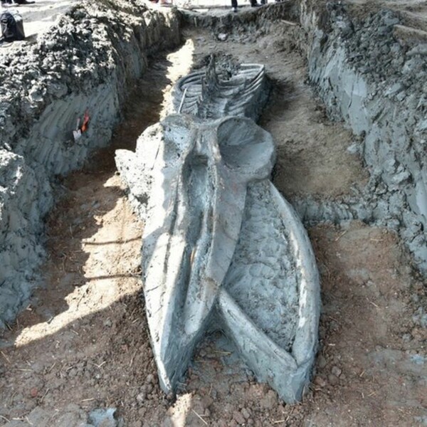 Σπάνιο εύρημα: Αρχαίος σκελετός φάλαινας ανακαλύφθηκε στην Ταϊλάνδη