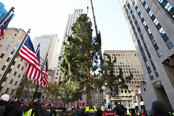 Στη Νέα Υόρκη γελούν με το δέντρο του Rockefeller Center: «Ο καλύτερος φόρος τιμής στο 2020»