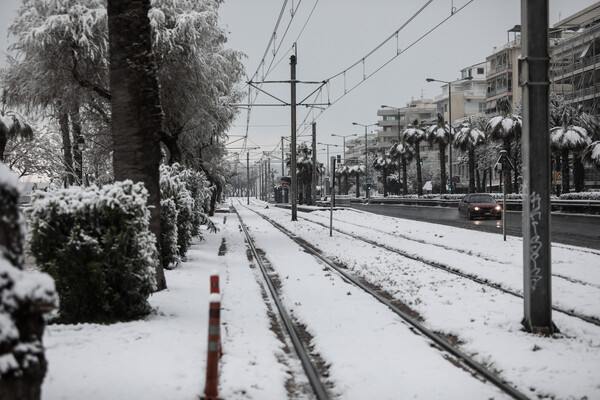 Λευκοί φοίνικες και χιονάνθρωποι στην άμμο του Φαλήρου - Το χιόνι έφτασε στη θάλασσα (ΕΙΚΟΝΕΣ)