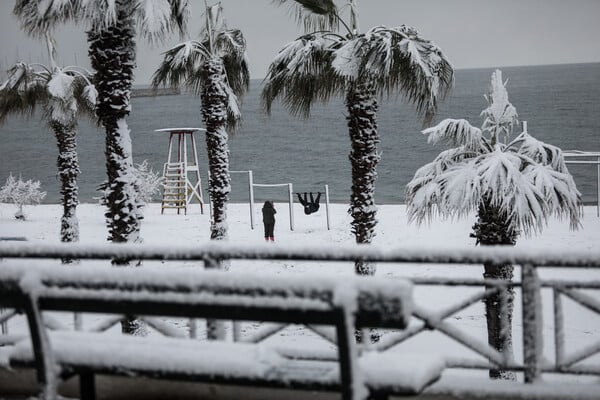 Λευκοί φοίνικες και χιονάνθρωποι στην άμμο του Φαλήρου - Το χιόνι έφτασε στη θάλασσα (ΕΙΚΟΝΕΣ)