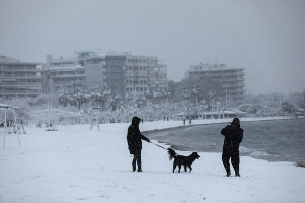 Λευκοί φοίνικες και χιονάνθρωποι στην άμμο του Φαλήρου - Το χιόνι έφτασε στη θάλασσα (ΕΙΚΟΝΕΣ)