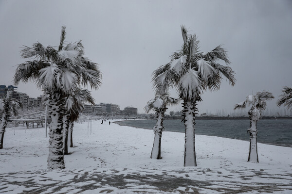 Λευκοί φοίνικες και χιονάνθρωποι στην άμμο του Φαλήρου - Το χιόνι έφτασε στη θάλασσα (ΕΙΚΟΝΕΣ)