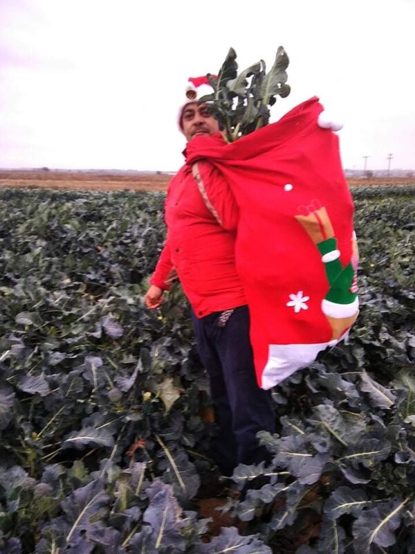 Κιλκίς: Αγρότης καλλιεργεί τα λαχανικά του υπό τους ήχους χριστουγεννιάτικης μουσικής - «Την αγαπούν»