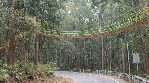 Η Ινδία έφτιαξε γέφυρα για διασχίζουν τα ερπετά με ασφάλεια τον δρόμο