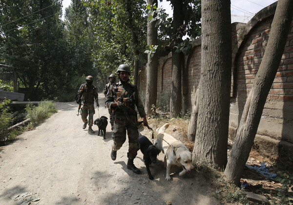 Ο στρατός της Ινδίας εκπαιδεύει σκύλους να ανιχνεύουν τον κορωνοϊό