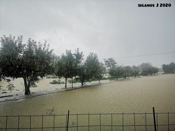 Κρήτη: «Ποτάμια» οι δρόμοι - Πλημμύρησαν σπίτια, ακινητοποιήθηκαν αυτοκίνητα