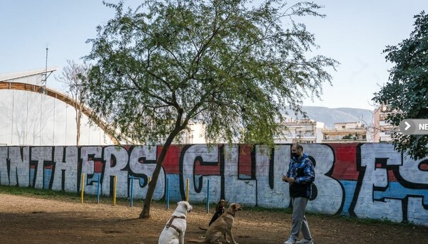 Ένα πάρκο αποκλειστικά για σκύλους στον δήμο Νέας Σμύρνης