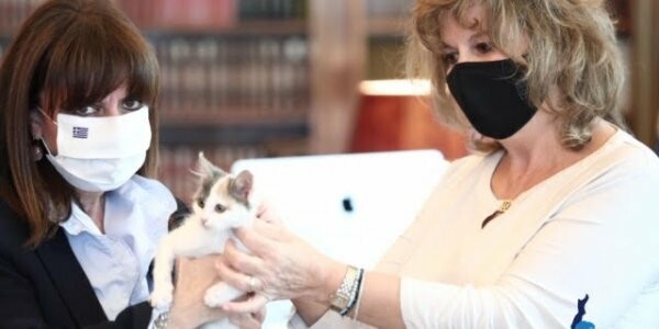 H Κατερίνα Σακελλαροπούλου υιοθέτησε ένα αδέσποτο γατάκι από την Κάρπαθο