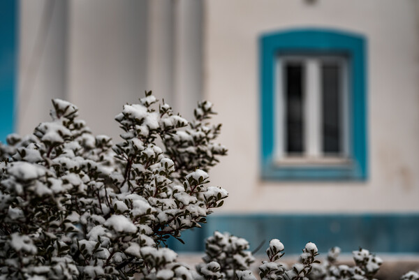 Χιόνισε στη Σάμο: Στα λευκά ορεινές κοινότητες - Στους 0 βαθμούς η θερμοκρασία (ΕΙΚΟΝΕΣ)