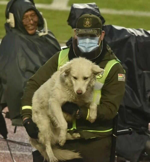 Σκύλος εισέβαλε ξαφνικά σε αγώνα ποδοσφαίρου και τελικά τον υιοθέτησε ένας παίκτης