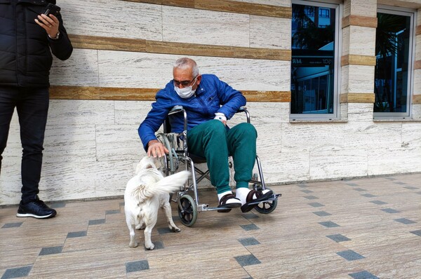 Σκύλος περίμενε υπομονετικά για μέρες έξω από νοσοκομείο: «Επέστρεφε ξανά τρέχοντας»