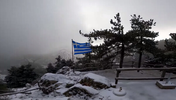 Τα πρώτα χιόνια έπεσαν στην Πάρνηθα - Στα «λευκά» το καταφύγιο Μπάφι (ΒΙΝΤΕΟ)