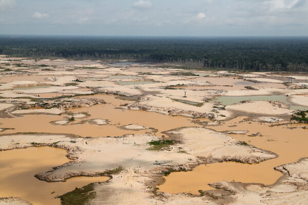 Amazonian groups sue French supermarket chain over deforestation