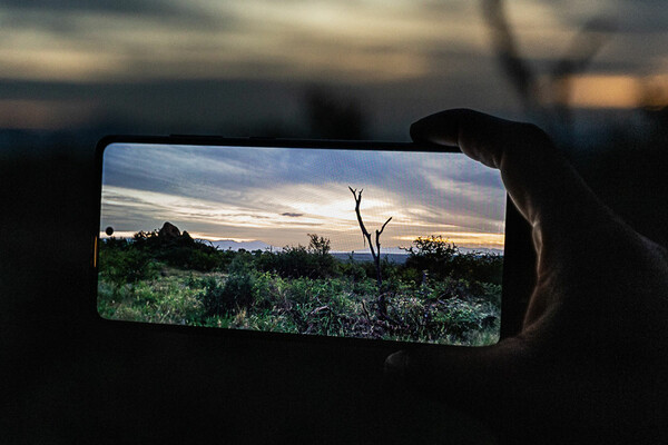 Η πρωτοβουλία Wildlife Watch της Samsung προσκαλεί τους χρήστες να γίνουν εικονικοί δασοφύλακες και να παρακολουθούν τα απειλούμενα είδη σε ζωντανή σύνδεση από τα δάση της Αφρικής