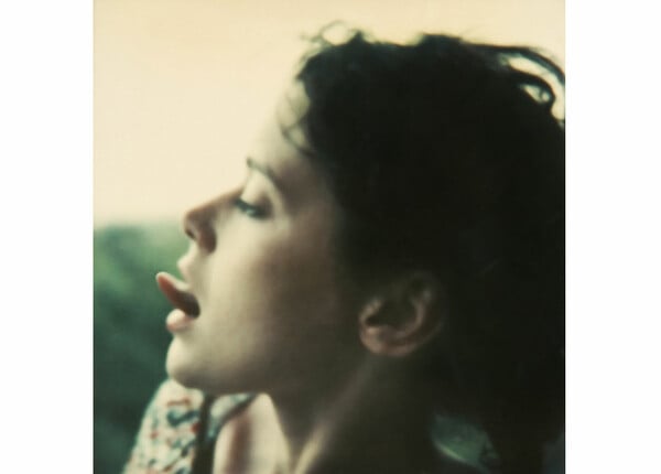 Sylvia Kristel. 'Οχι ακόμα (Goodbye Emmanuelle) !