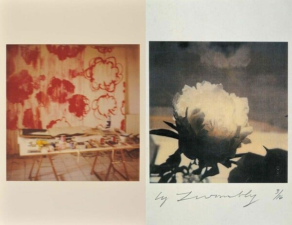 Cy Twombly. Photographs.