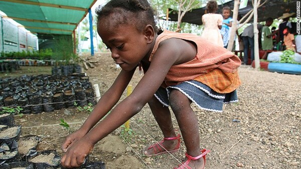 Παραγκούπολη στην Αϊτή έχει φτιάξει το δικό της "Κήπο της Εδέμ".