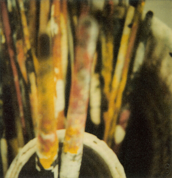 Cy Twombly. Photographs.