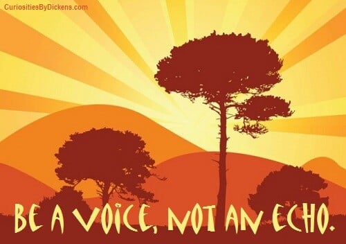 Be a voice, not an echo