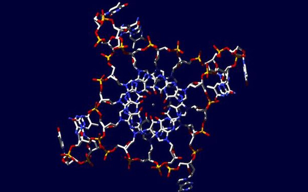 Ανακαλύφθηκε DNA με τετραπλή έλικα