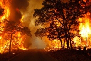 Κρήτη: 70χρονη ομολόγησε πως ευθύνεται για 20 εμπρησμούς!