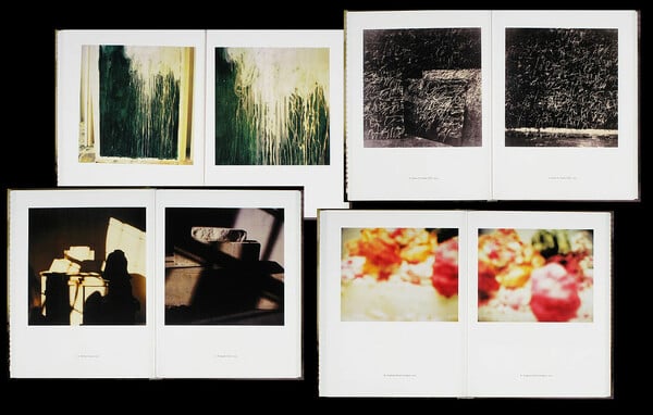 Cy Twombly. Photographs.