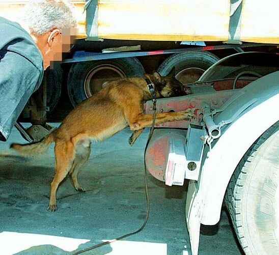 Πειραιάς: Ψέκασε την κάνναβη με δυνατό άρωμα