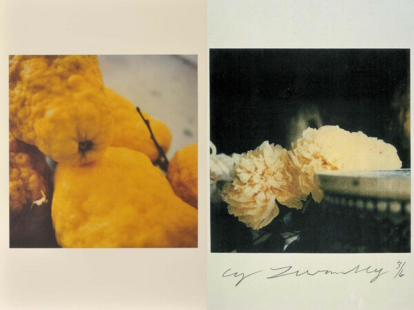 Cy Twombly. Photographs.