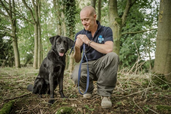 YouTube electric-shock dog collar videos spark anger