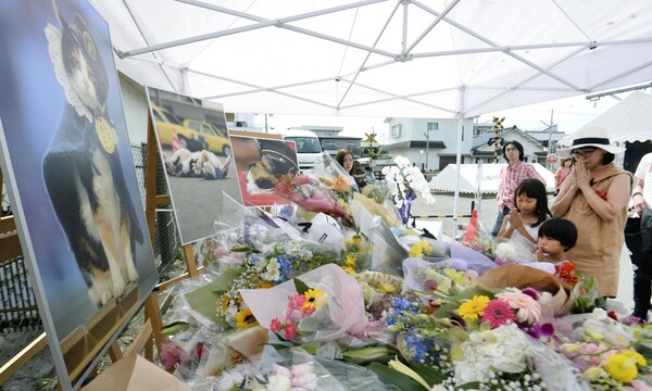 Τρεις χιλιάδες κόσμος στην κηδεία της Tama της γάτας-σταθμάρχη στην Ιαπωνία