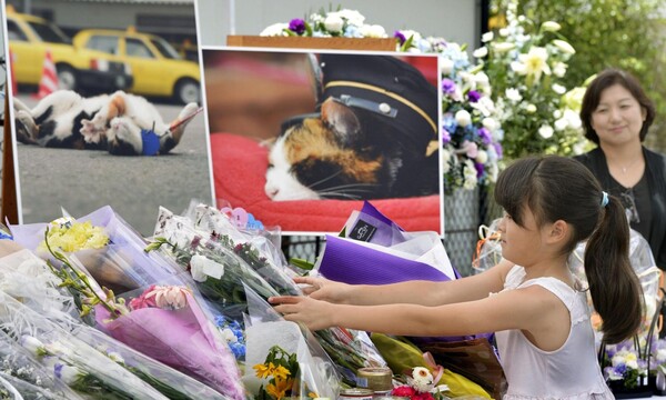 Τρεις χιλιάδες κόσμος στην κηδεία της Tama της γάτας-σταθμάρχη στην Ιαπωνία